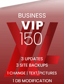 Business VIP Website Maintenance Plan