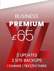 Business Premium Website Maintenance Plan