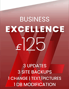Business Excellence Website Maintenance Plan