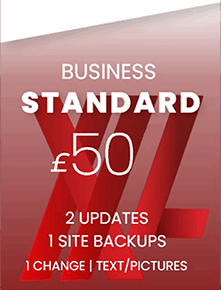 Business Standard Website Maintenance Plan