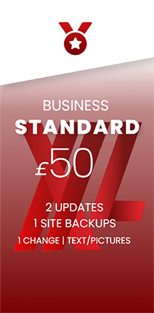 Business Standard Website Maintenance Plan